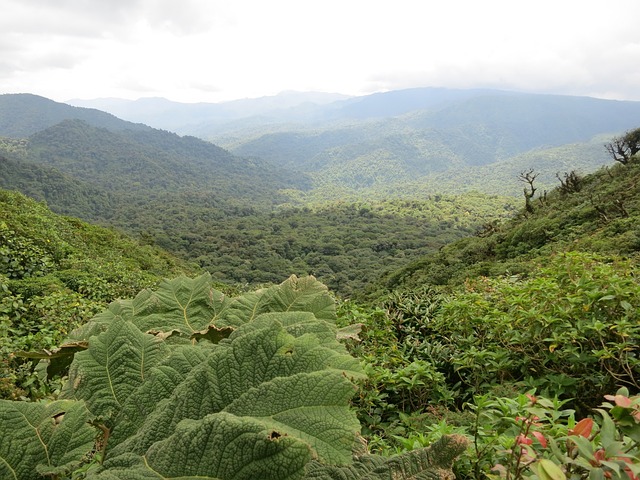 Costa Rica, trasferirsi in Costa Rica, vivere in Costa Rica, villaggiocostarica.com